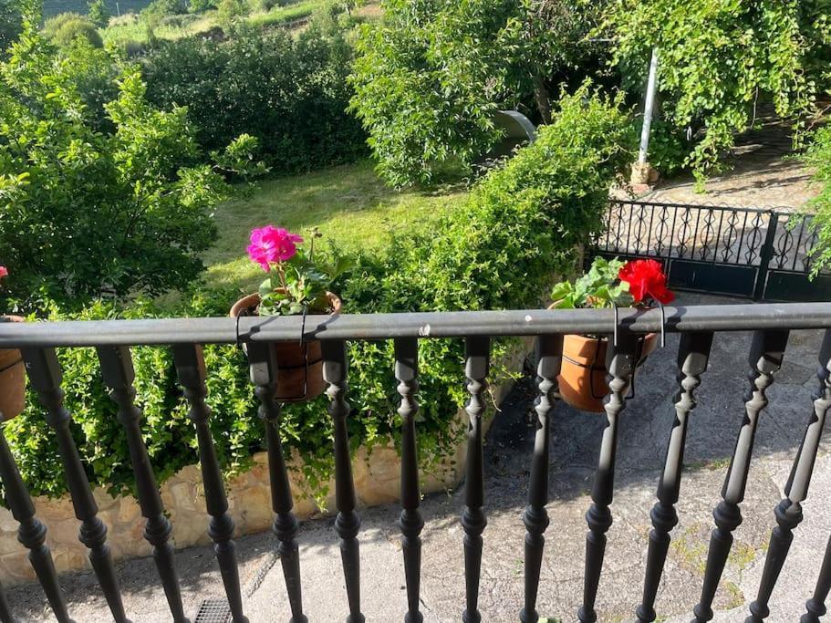 Casa A Boga Ribeira Sacra Vila Abeleda Exterior foto