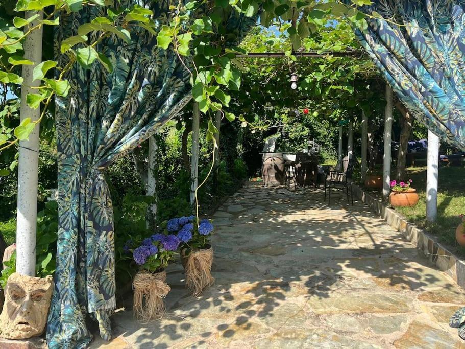 Casa A Boga Ribeira Sacra Vila Abeleda Exterior foto