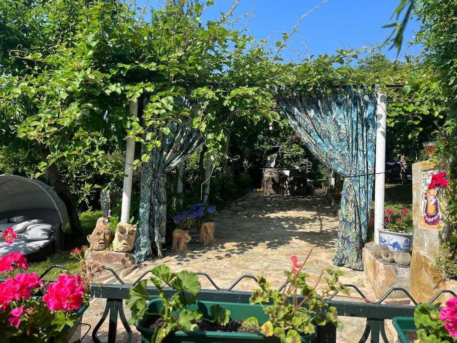 Casa A Boga Ribeira Sacra Vila Abeleda Exterior foto